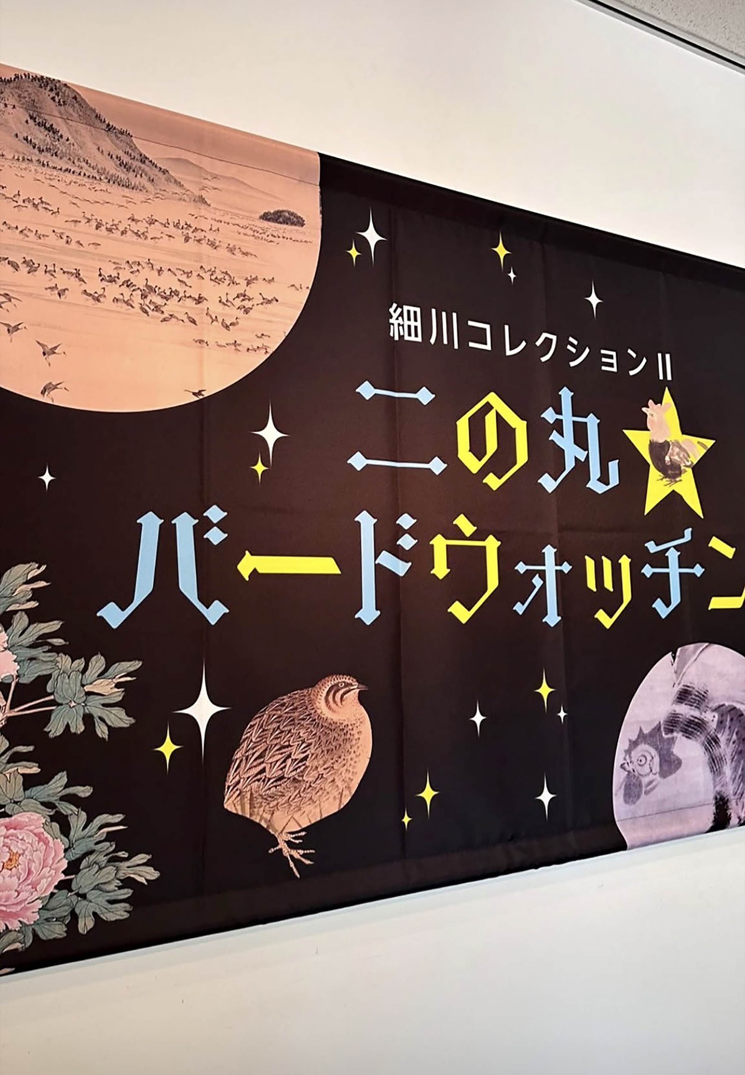 細川コレクション Ⅱ 二の丸バードウォッチング