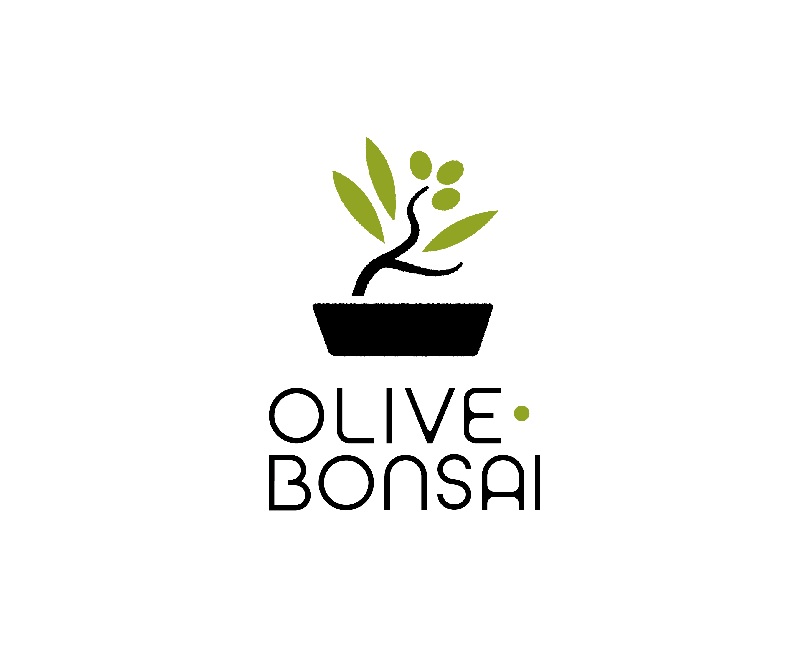 PLANTS GIFT／OLIVE BONSAI